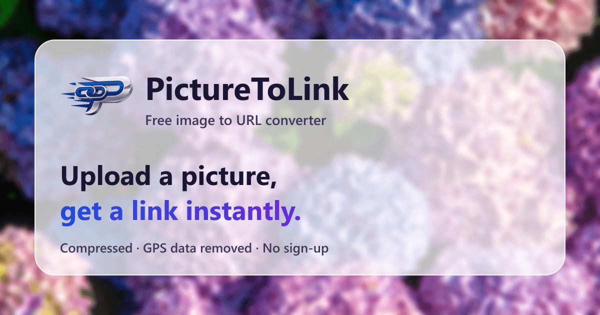 How to Reduce Image File Size Without Losing Quality | PictureToLink